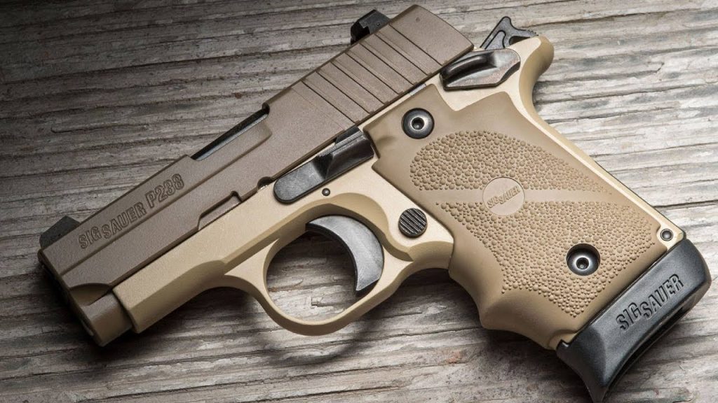 Best .380 Pistols 2024: My dream Conceal Carry is Finally HERE!