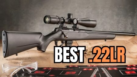 TOP 5 Best .22LR Rifles: The Most Accurate .22 Rifles 2024