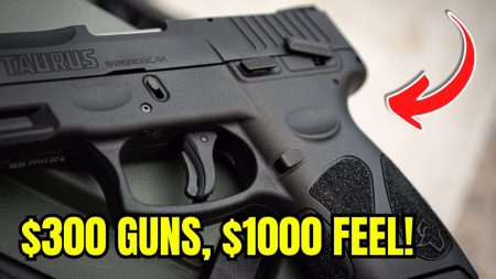 Top 5 Guns Under 0 – These Feel Like 00 Guns!
