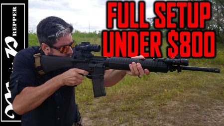 If I Had to Build a Cheap AR-15 to Rely On Right Now…