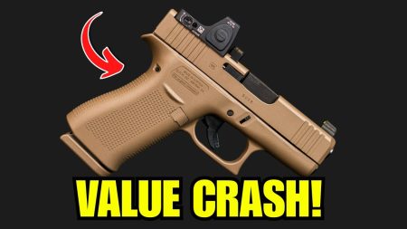 6 GUNs That CRASHED in Value from 2024 to 2025