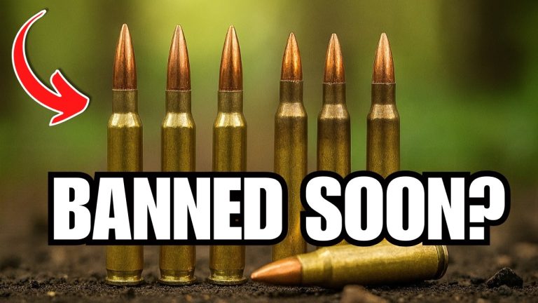 BIG Shortage INCOMING: 7 Calibers Every Gun Owner Should Stock in 2025! BIG Shortage INCOMING: 7 Calibers Every Gun Owner Should Stock in 2025!