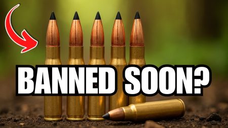 BIG Shortage INCOMING: 7 Calibers Every Gun Owner Should Stock in 2026!