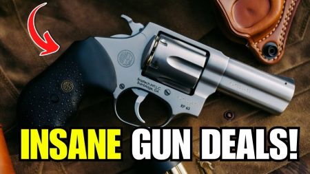 5 CHEAP GUNS EVERYONE IGNORES (But These 3 Guns Are Absolute Goldmines)