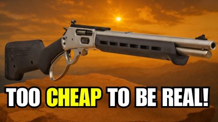 Top 5 Rifles For The $$$ (2026) || Best Budget Rifles on the Market?!