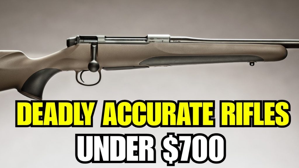 5 Budget-Hunting Rifles Under 700 That Are Deadly Accurate!