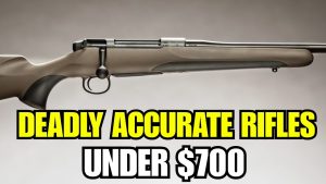 5 Budget-Hunting Rifles Under 700 That Are Deadly Accurate!