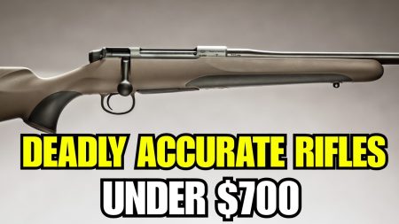 5 Budget-Hunting Rifles Under 700 That Are Deadly Accurate!