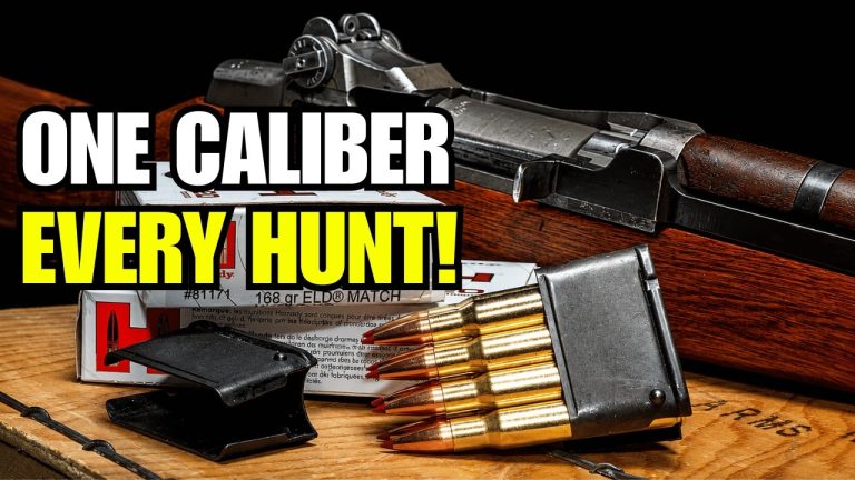 The ONLY Caliber That Can Hunt Everything in America!