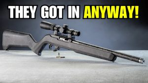 Beretta Lost the Fight, But Got Inside Ruger Anyway