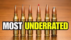 The 6 Most Underrated Hunting Calibers (The TRUTH About #3)