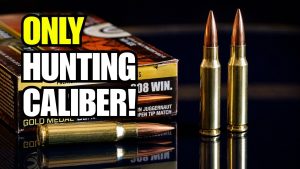 Why The .308 Winchester Is The Strongest “One Hunting Caliber” Pick