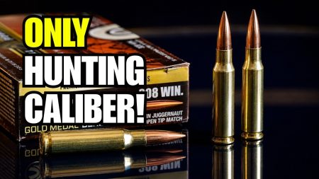 Why The .308 Winchester Is The Strongest “One Hunting Caliber” Pick
