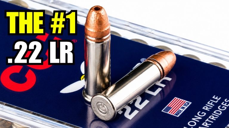 9 Best .22 LR Ammo for Defense, Hunting, and Reliability In 2026
