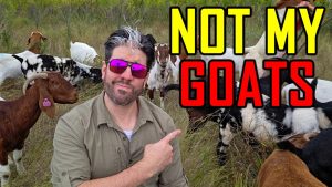 I Failed at Homesteading. Here’s Why.