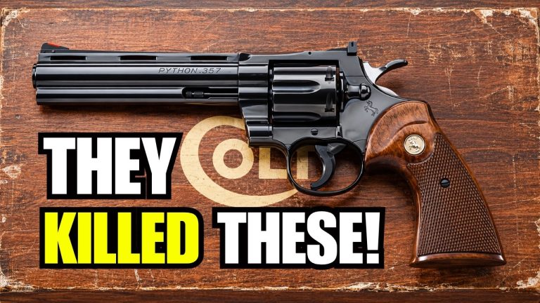 The Revolvers the Industry KILLED Because They Were Too Good The Revolvers the Industry KILLED Because They Were Too Good