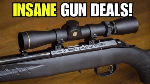 5 CHEAP GUNS EVERYONE IGNORES (But These 5 Guns Are Absolute Goldmines)
