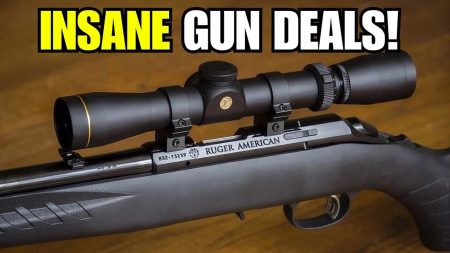 5 CHEAP GUNS EVERYONE IGNORES (But These 5 Guns Are Absolute Goldmines)